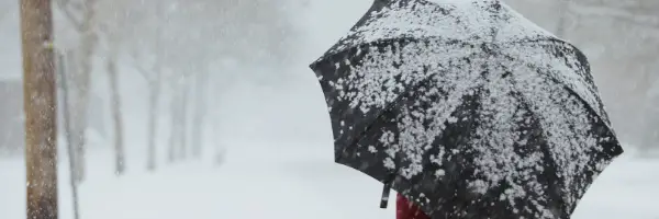 unbrella in the snow