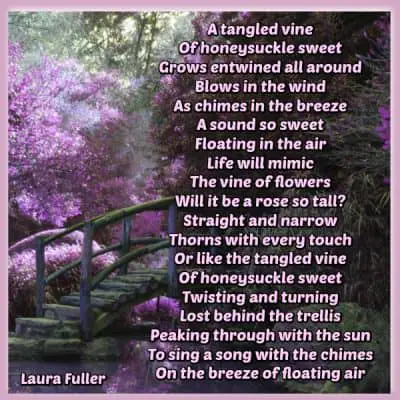 poem by laurs tangles vine of honeysuckle sweet