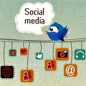 social media bird on a wire