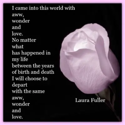 Inspiration for life awe, wonder and love purple rose on black background