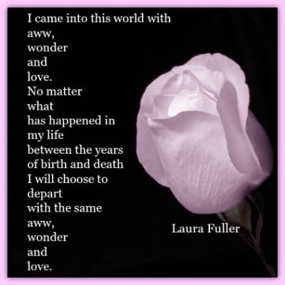 awe, wonder and love purple rose on black background