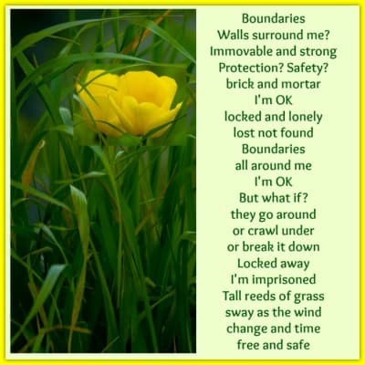 poem boundaries with grass and a yellow flower400