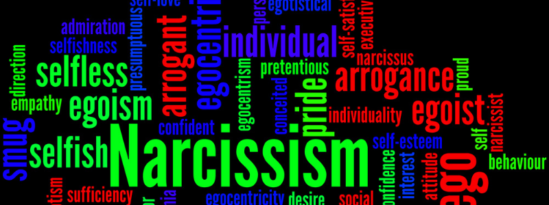 many words describing narissism