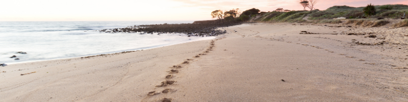 foot prints in the sand-Dig Your Roots Deep