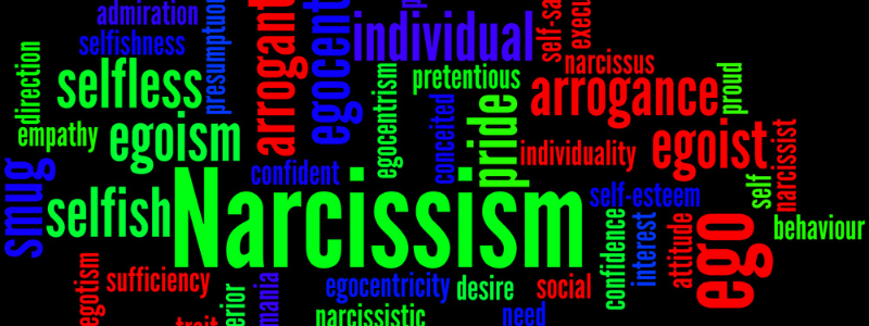 It's Not Your Fault-narcissism and words to decribe it