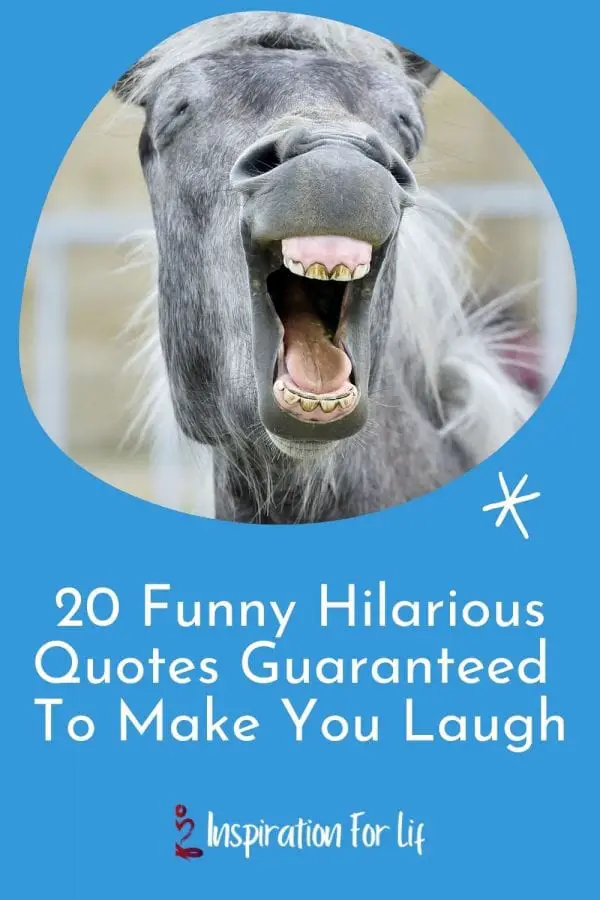 20 Funny Hilarious Quotes Guaranteed To Make You Laugh pinterest pin