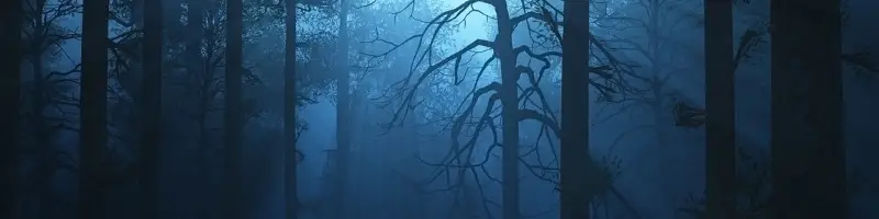 dark woods grief, death