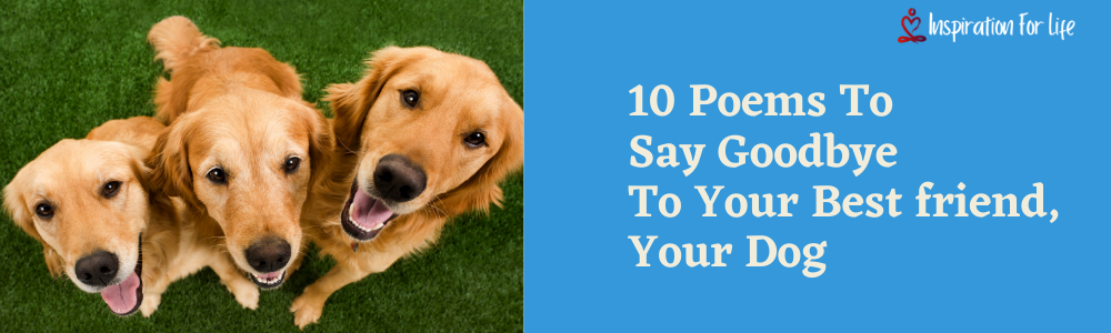 10 Poems To Say Goodbye to your best friend, Your Dog feature image