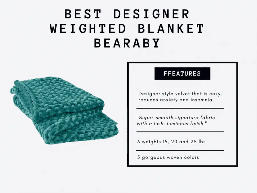 bearby designer3