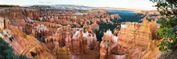 bryce canyon freedom