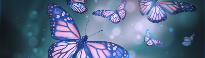 Why Is Change Important butterfies